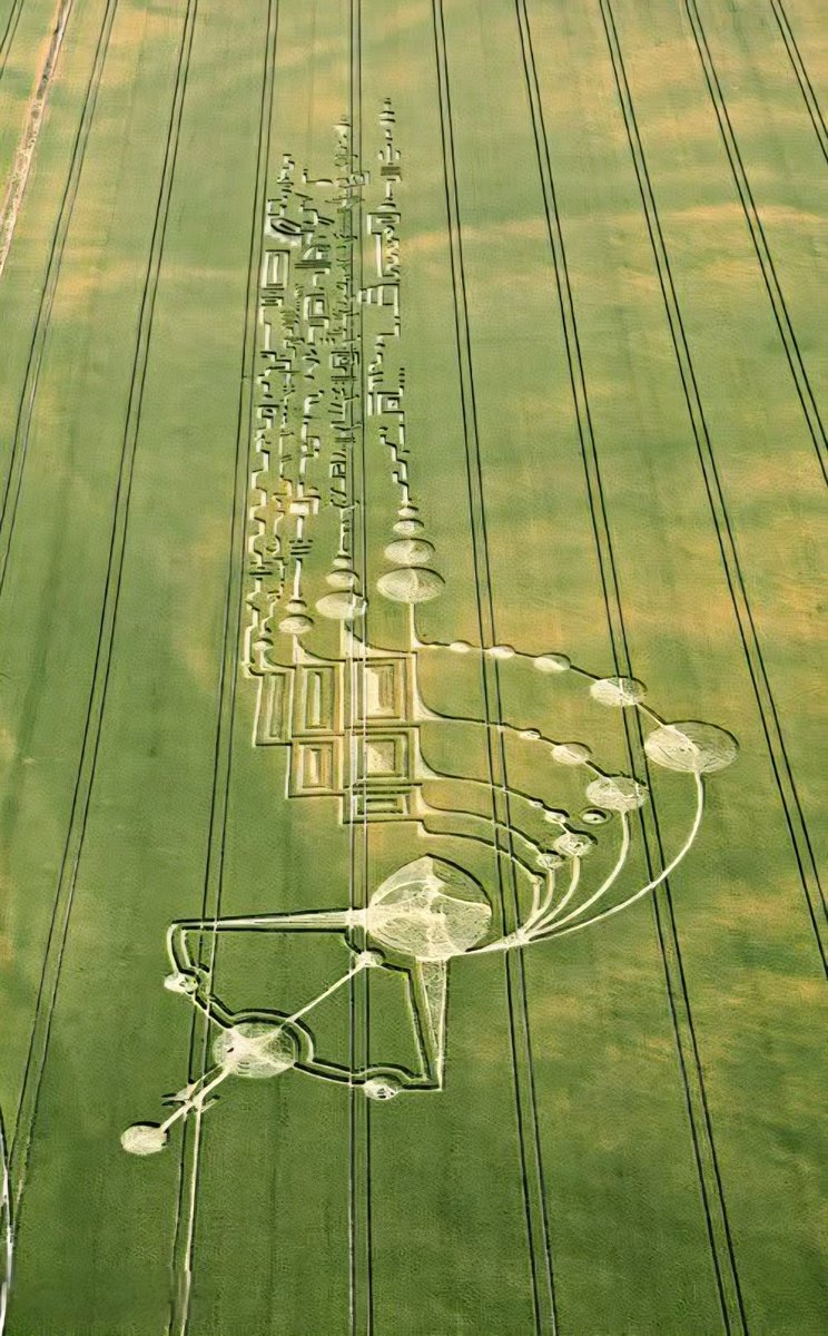 Crop Circle Formation, near Crabwood, Hampshire, England – discovered ...