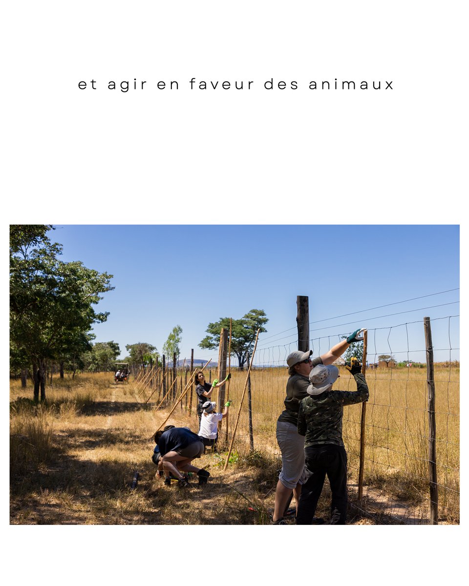 alexetchloebes's tweet photo. Nous sommes fiers de vous présenter la ‘’Fondation Bès’’, une association engagée pour la protection de la nature, de la faune et de notre environnement💚

https://t.co/1JfojsCmwD https://t.co/x0YJ1LGg28