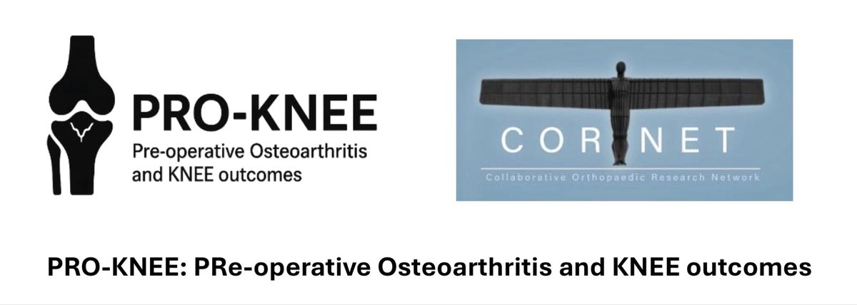 CORNET Research tweet media