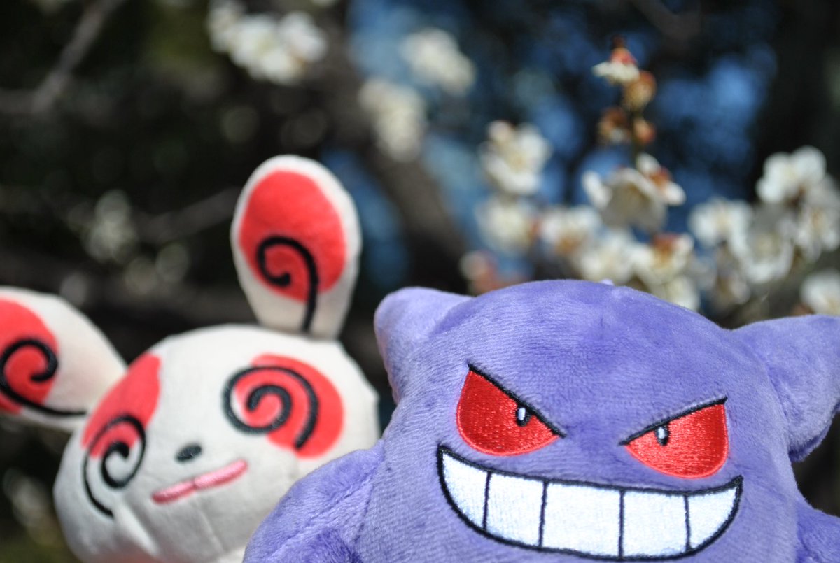 ゲンガーはパッチールと一緒で楽しそう