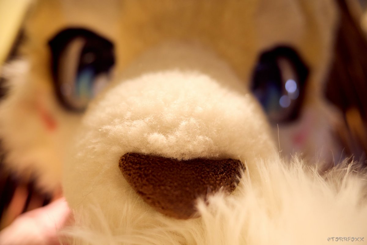 シエヤン/血漾🔜 tweet media