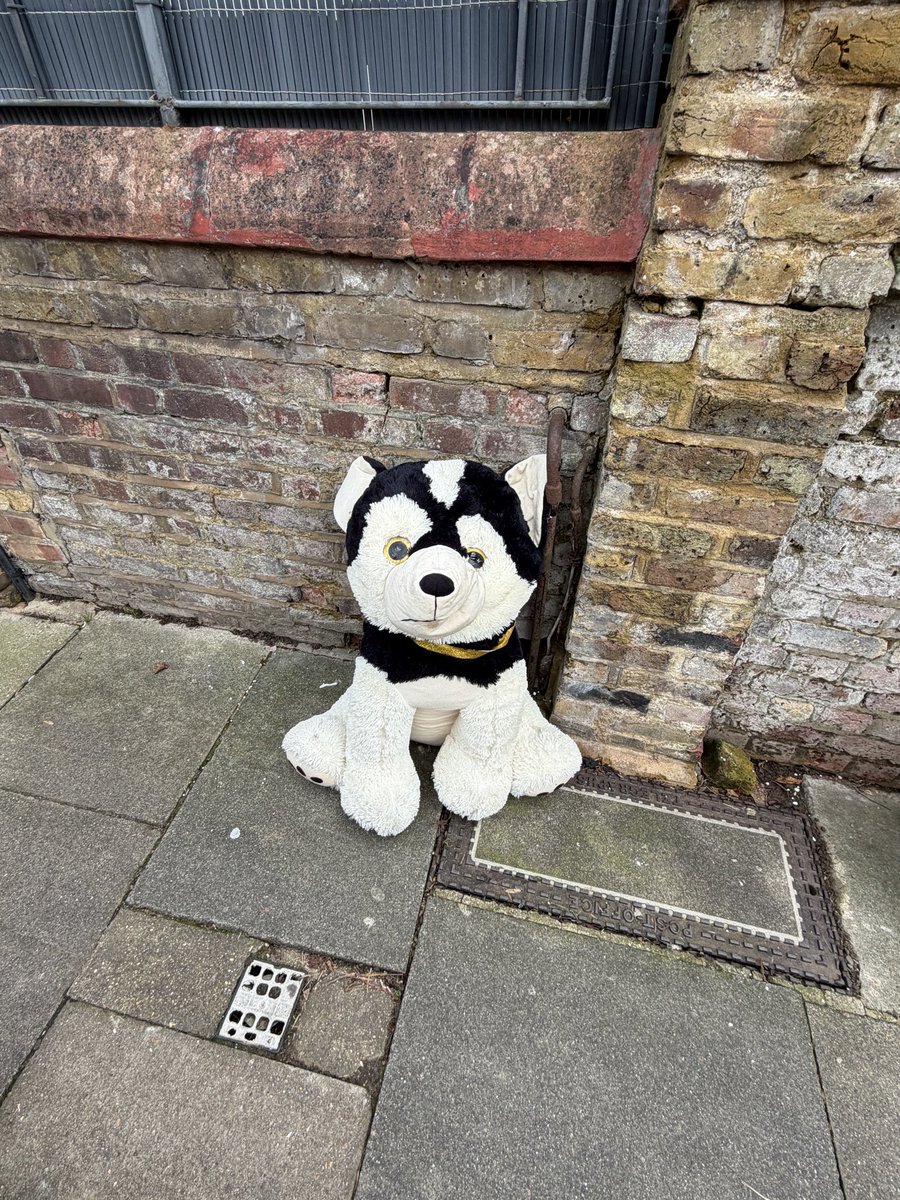 JP Devlin tweet media