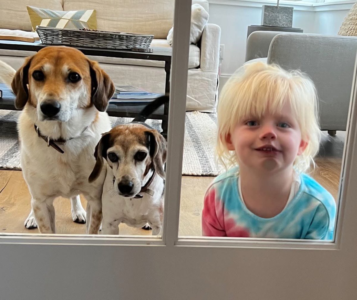 Lara Trump tweet media