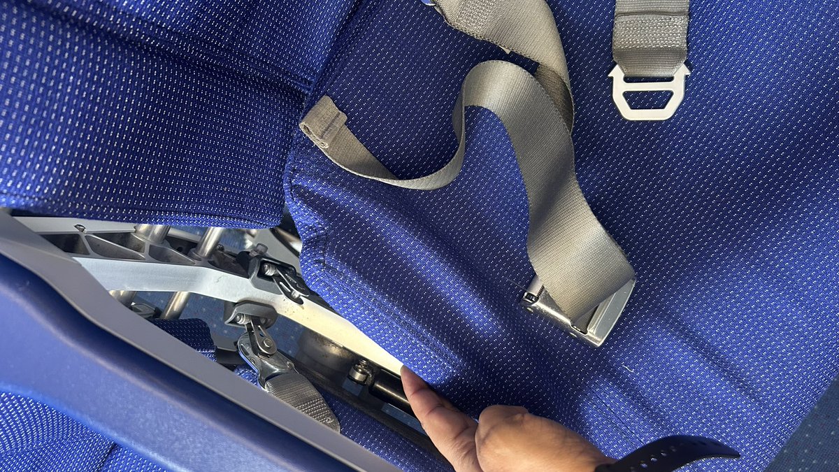 Rohan Pandey🌐 tweet media