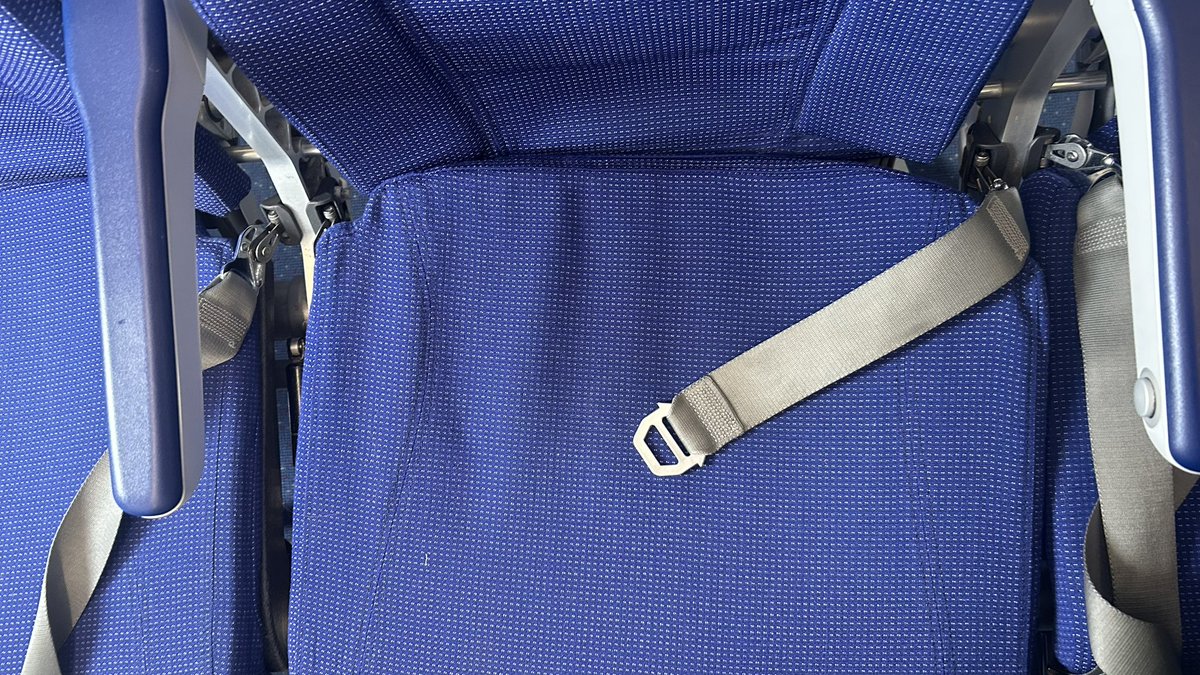 Rohan Pandey🌐 tweet media