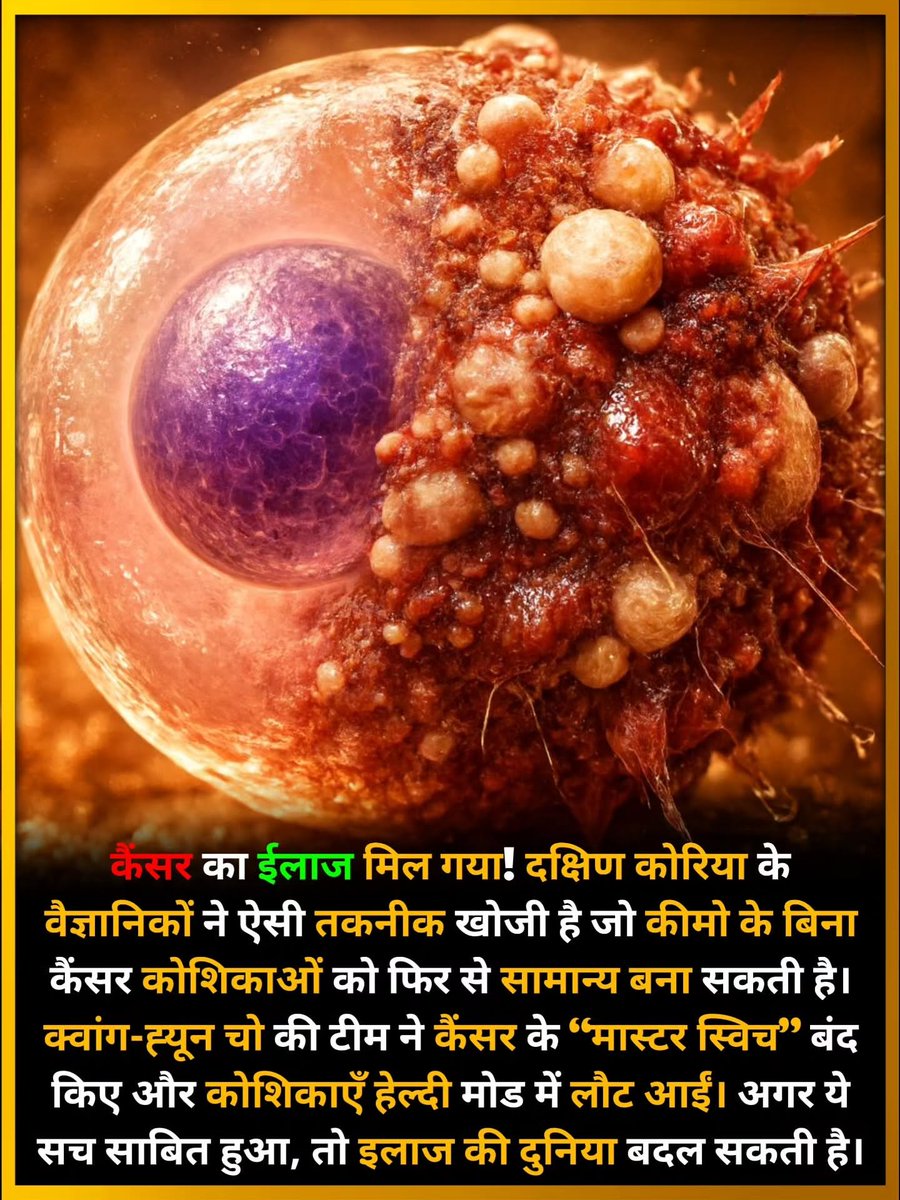 कैंसर मुक्त भविष्य की ओर बड़ा कदम: दक्षिण कोरियाई वैज्ञानिकों ने खोजी 'रिवर्सल' तकनीक! अब कैंसर सेल्स फिर से बन सकेंगी हेल्दी! 🧬🇰🇷

​कैंसर का नाम सुनते ही सबसे पहले मन में 'कीमोथेरेपी' और उसके दर्दनाक साइड इफेक्ट्स का ख्याल आता है। 

लेकिन अब वैज्ञानिकों ने एक ऐसी क्रांतिकारी