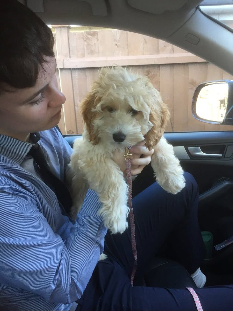 Ben Saunders Foundation tweet media