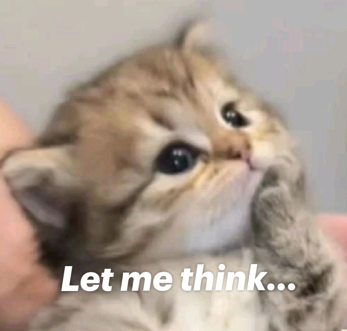 Rie (@keyriee) on Twitter photo 