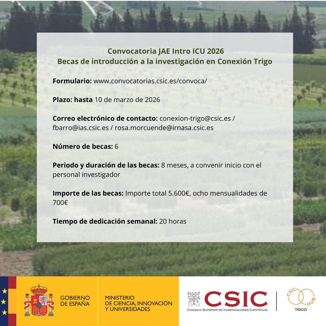 TrigoHubCSIC tweet media