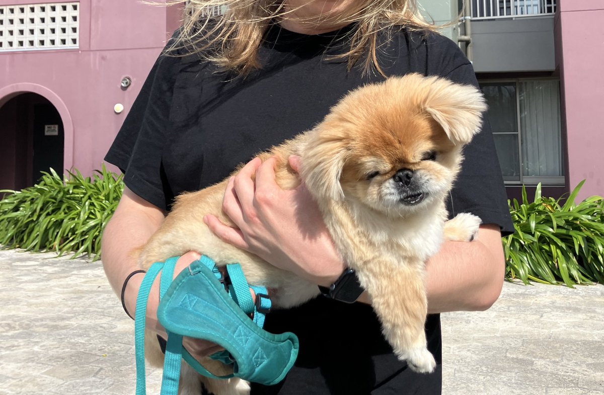 johnsmith tweet media