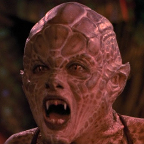 Gazi Şimşek (in Eng.) #EndLockdowns tweet media