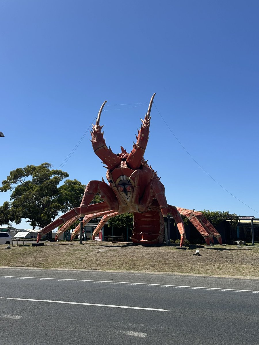 Dan The Man tweet media