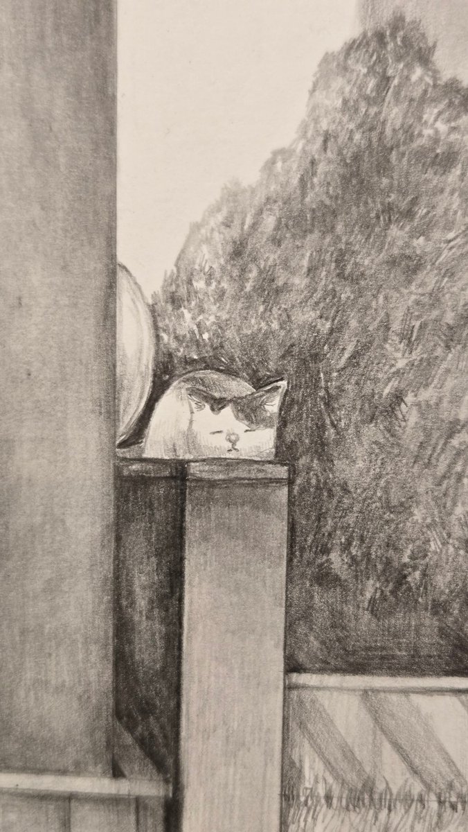 2/21モサモサさん @mosa2san 個展｢これはチャーハンかもしれない｣に