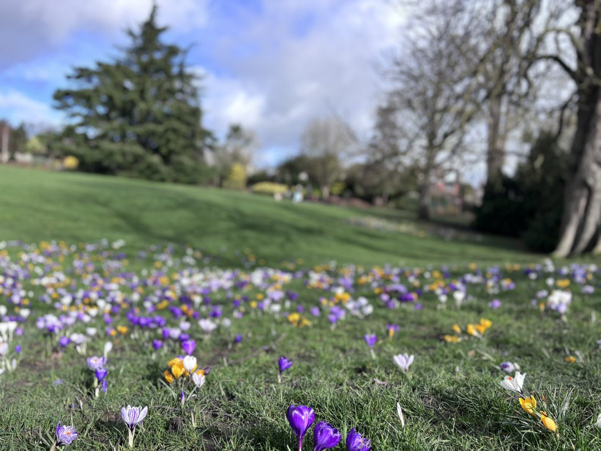 Ms Rebecca Merry tweet media