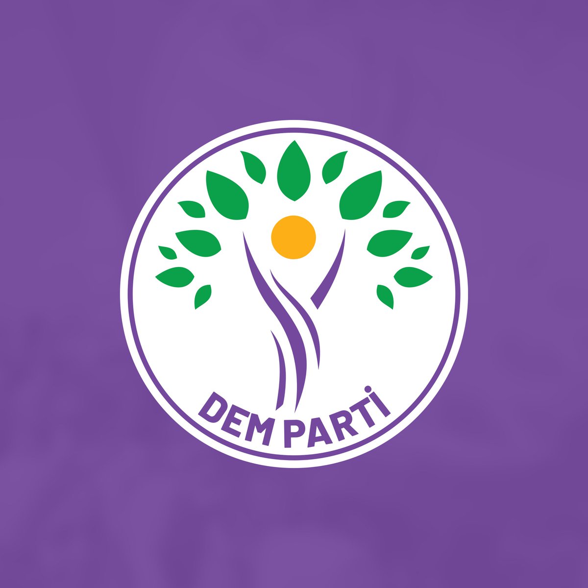 Denge+ tweet media