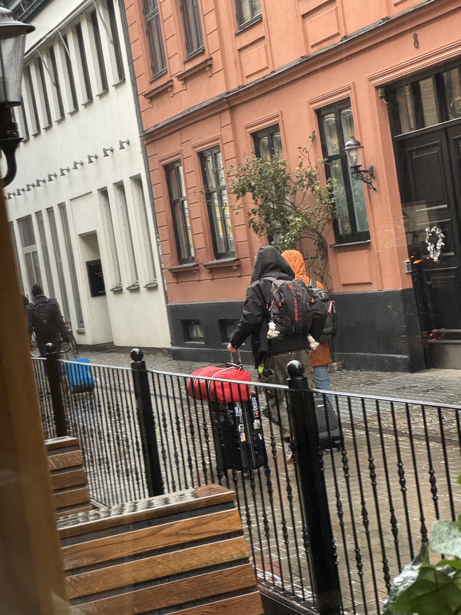 Little Alpha Pup (Milo) 🔜 LVFC tweet media