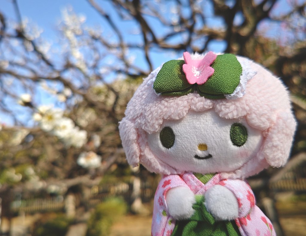 カニカニ🦀 tweet media