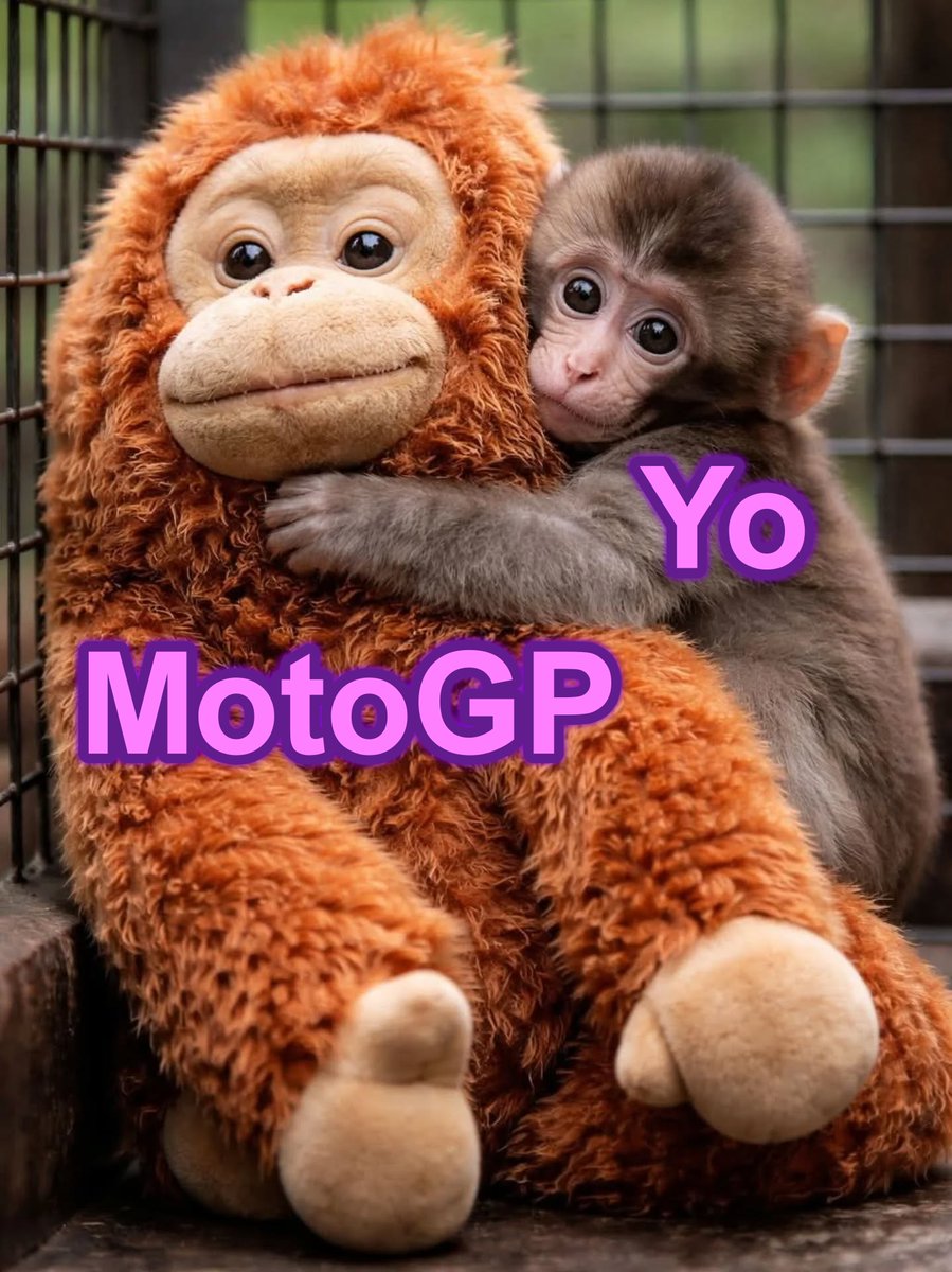 Swinxy's tweet photo. IT'S RACE WEEK!

Feliz lunes https://t.co/oPbWKZiFq2