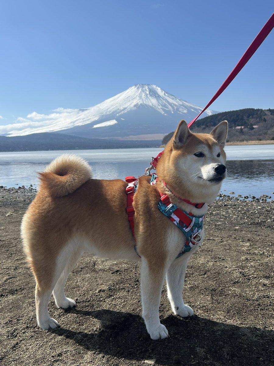 カレンダーみたいな画像が撮れました📷