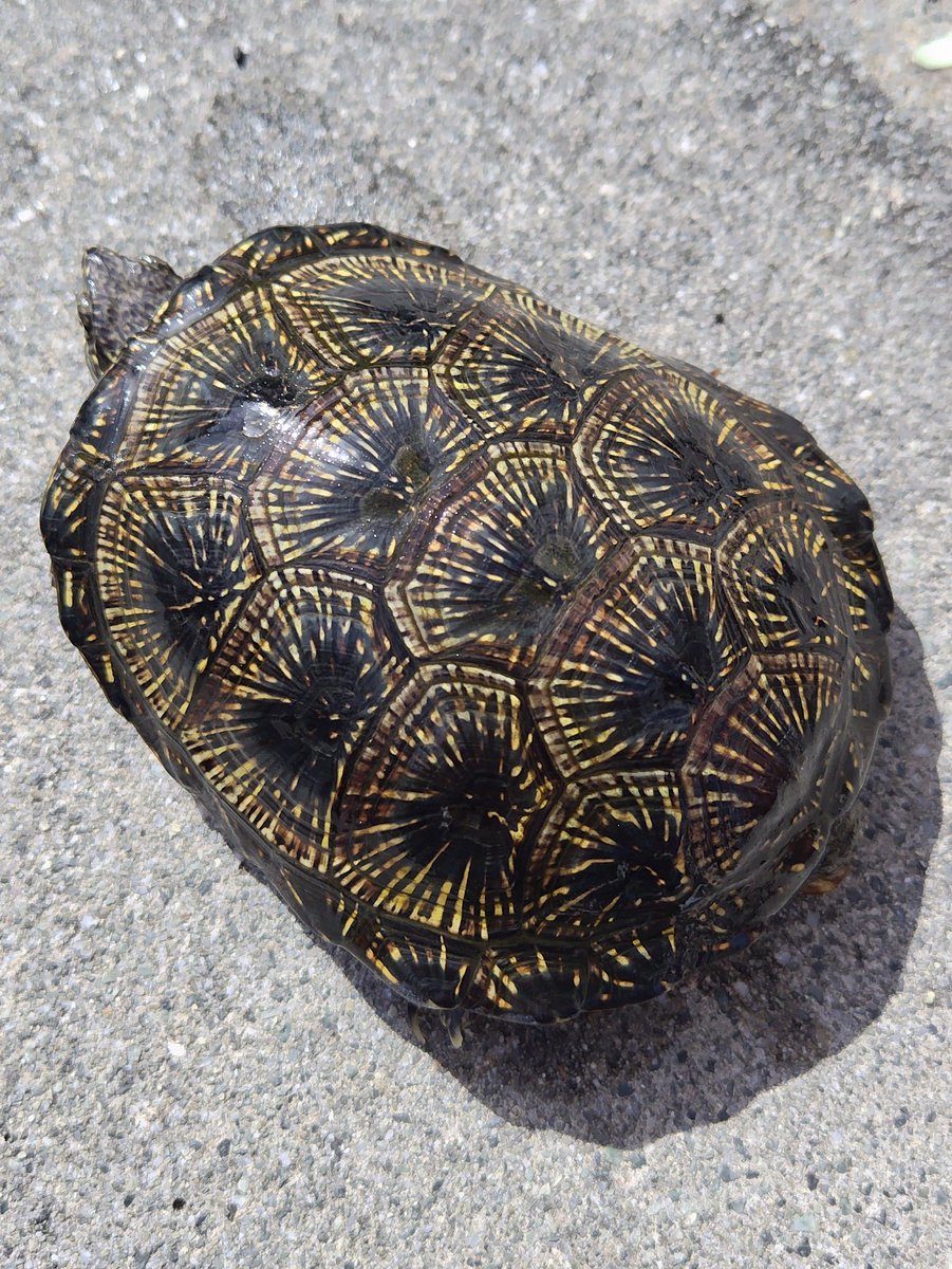 tito (@34_wgnc) / Posts / X