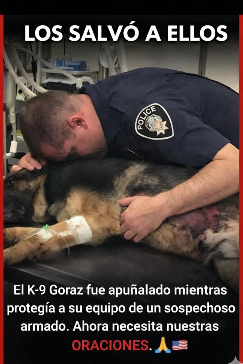 Iñaki Aldaz ®️POLICIA tweet media