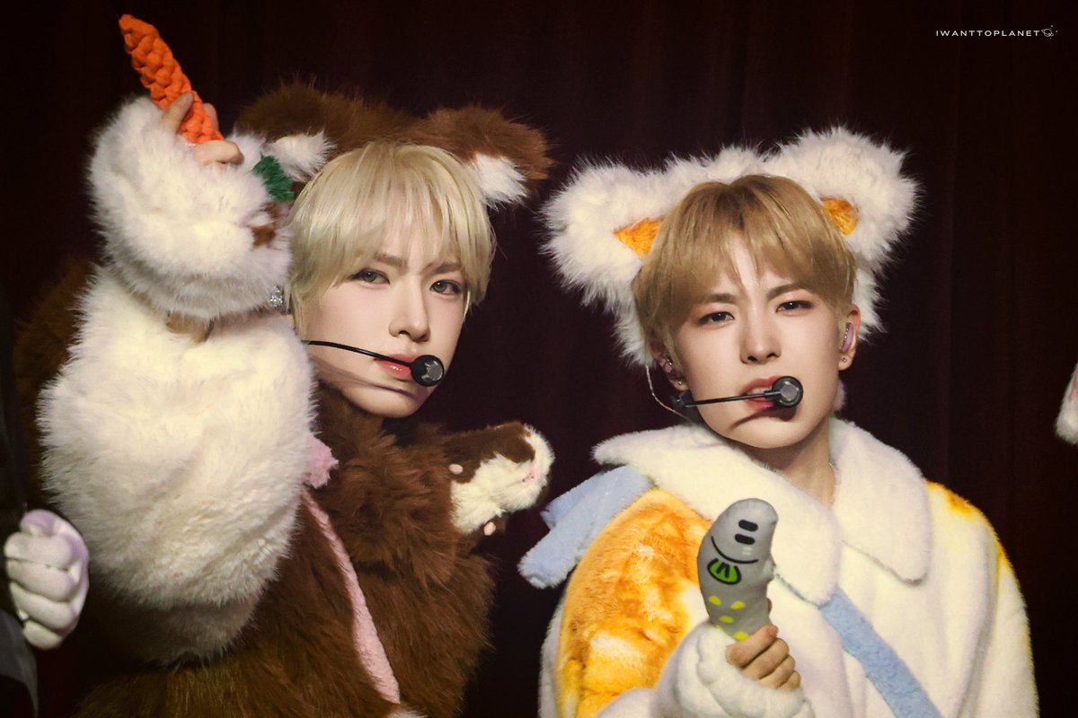 PLANET_3945's tweet photo. 260221 FM

기니피그랑 고양이 둘이서 무서운 척하는 중…

#YUSHI #유우시 #ユウシ 
#SAKUYA #사쿠야 #サクヤ 
#NCTWISH #치즈볼즈 https://t.co/UxrfBjWrD0