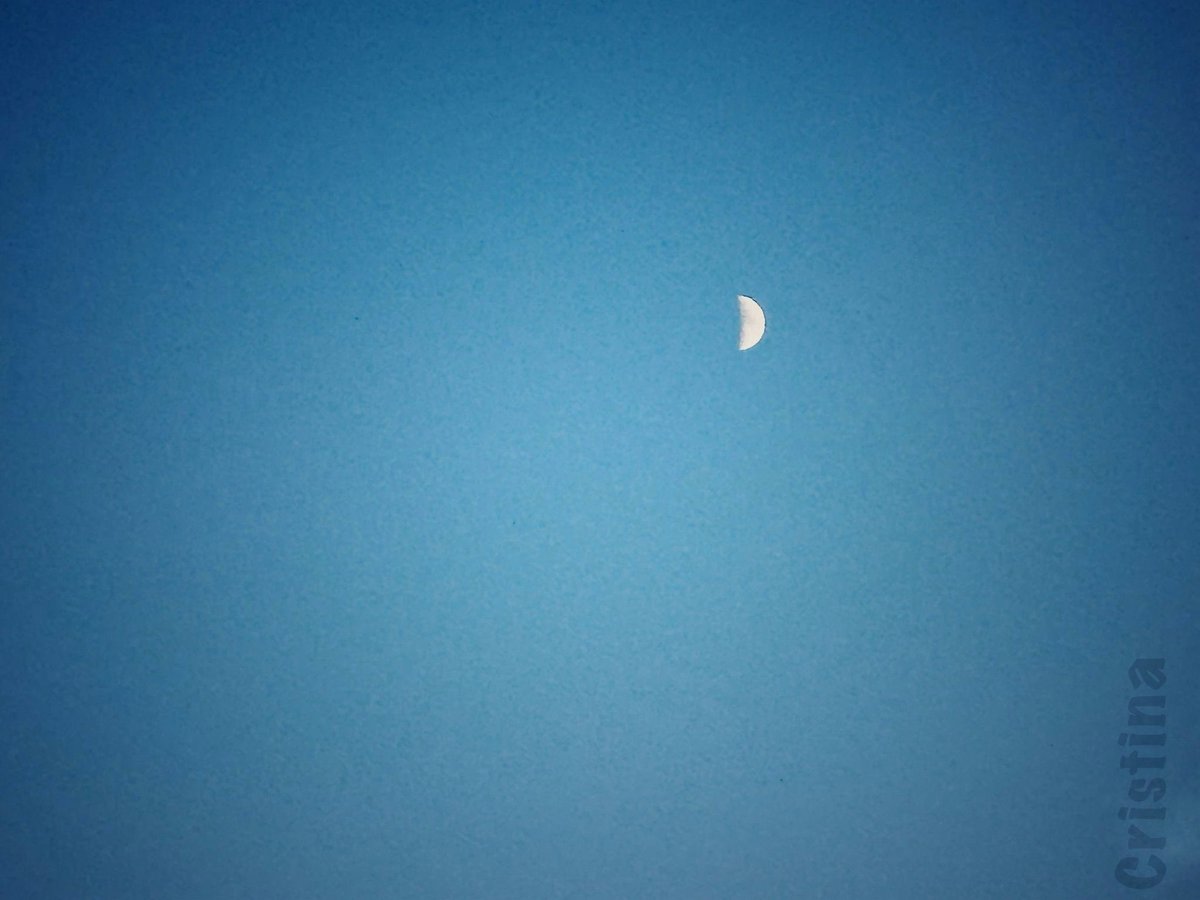 CrissSonrie's tweet image. Soñar despierta,
mi piel se desvela
entre tus brazos.

#senryu 

¡Buenos días! Feliz comienzo de semana 😊✨