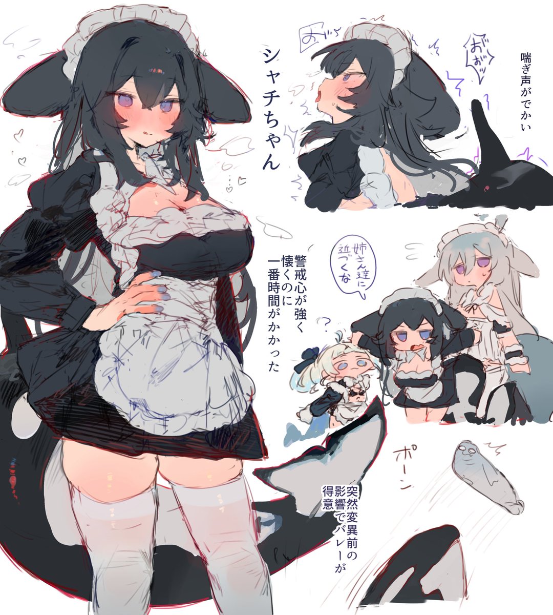 シャチちゃん🖤