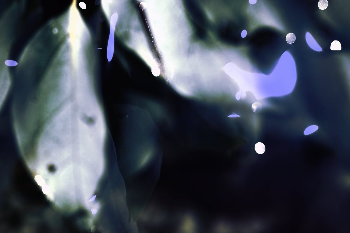 oooi (@oooi2004) on Twitter photo 