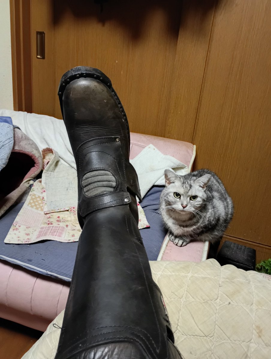 八的暁 ハチプロデザイン tweet media