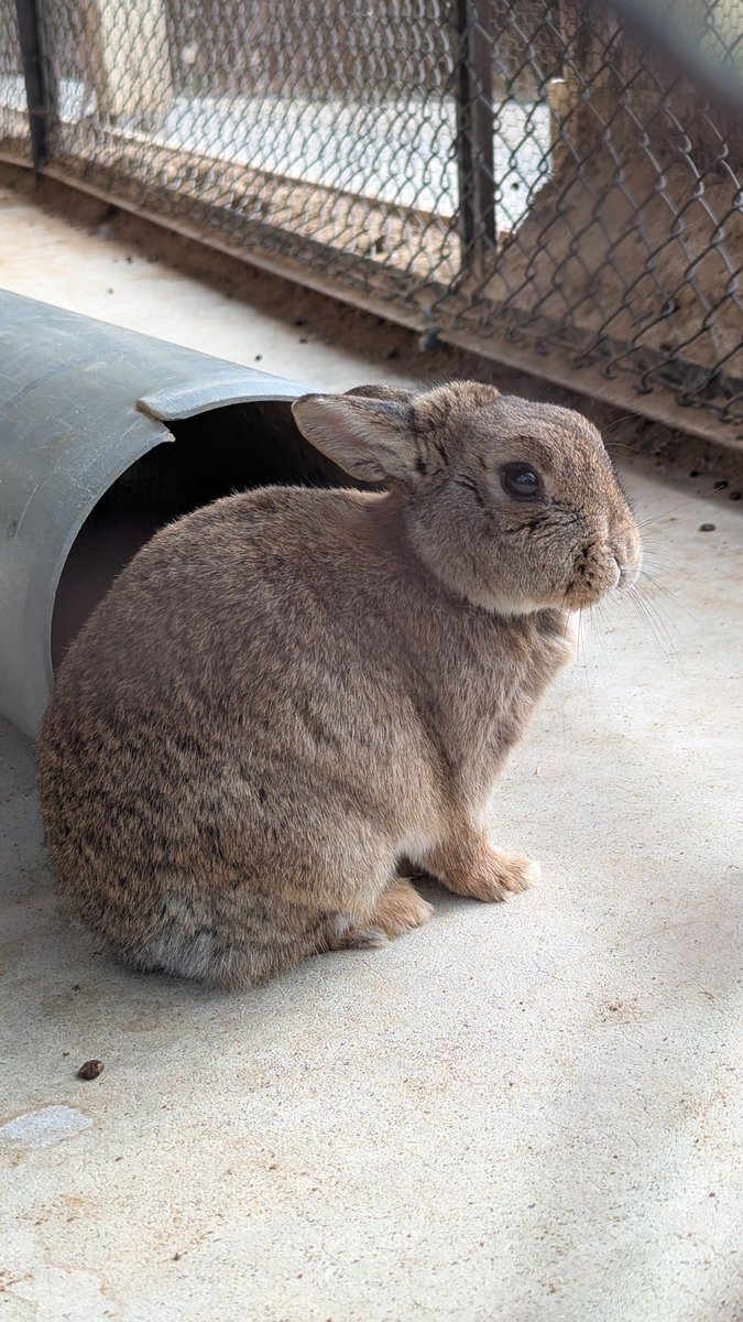 たまハム⭐ tweet media