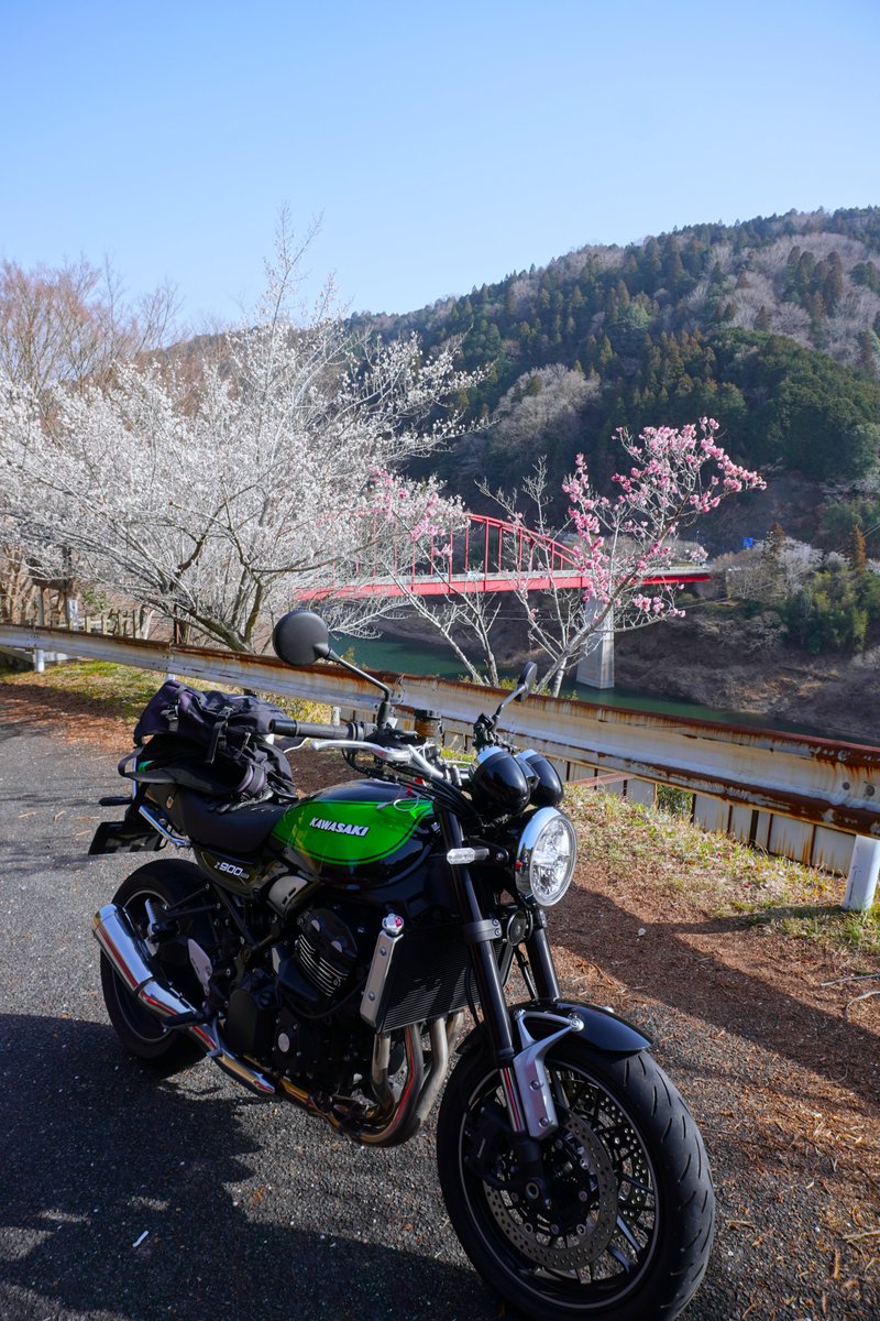 とらちゃん (@torachan675r1) / Posts / X