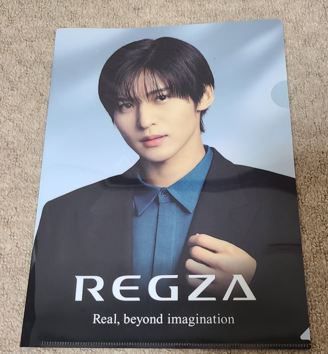 家電量販店でREGZAめめのクリアファイルもらえた🖤 まっすぐこっちを