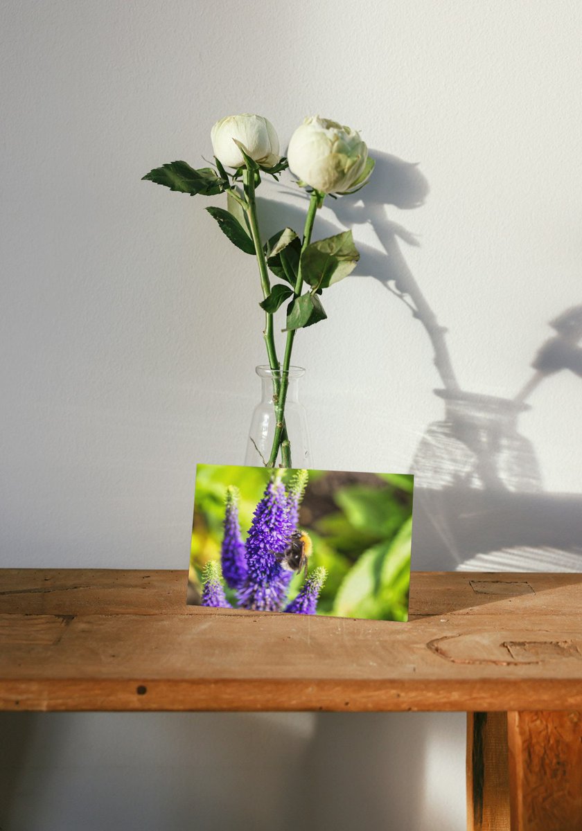 LakesFurniture's tweet photo. Lake District Greetings Card | Bee On Lavender | Birthday Card | Easter | Christmas | Postcard https://t.co/80b0ULxFmV #housewarming #Photography #homedecor #shelving #handmadefurniture #greetingscard #rusticfurniture #lakedistrict #BeeCard https://t.co/yXCBZLpBQj