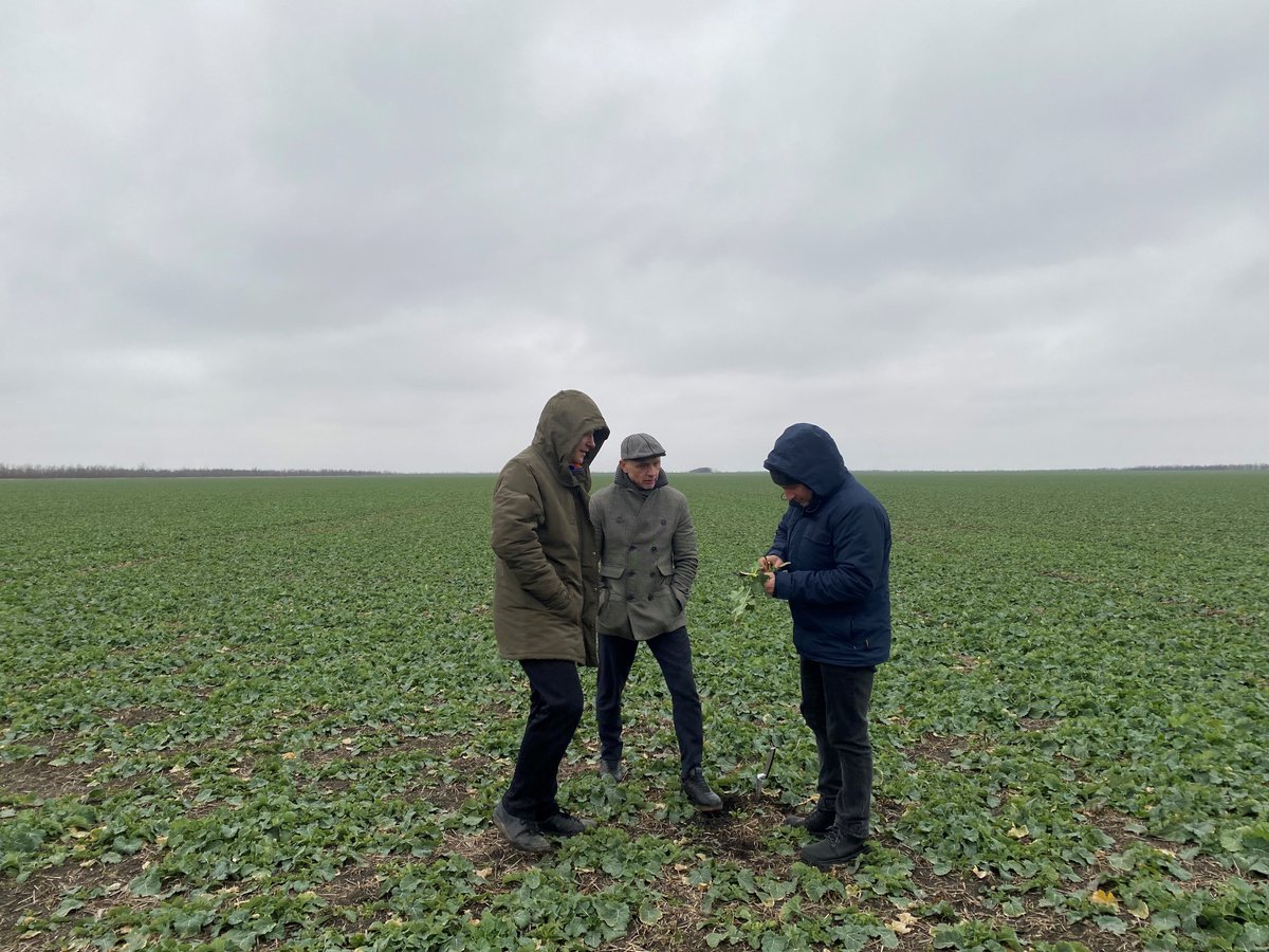 Yara Europe tweet media