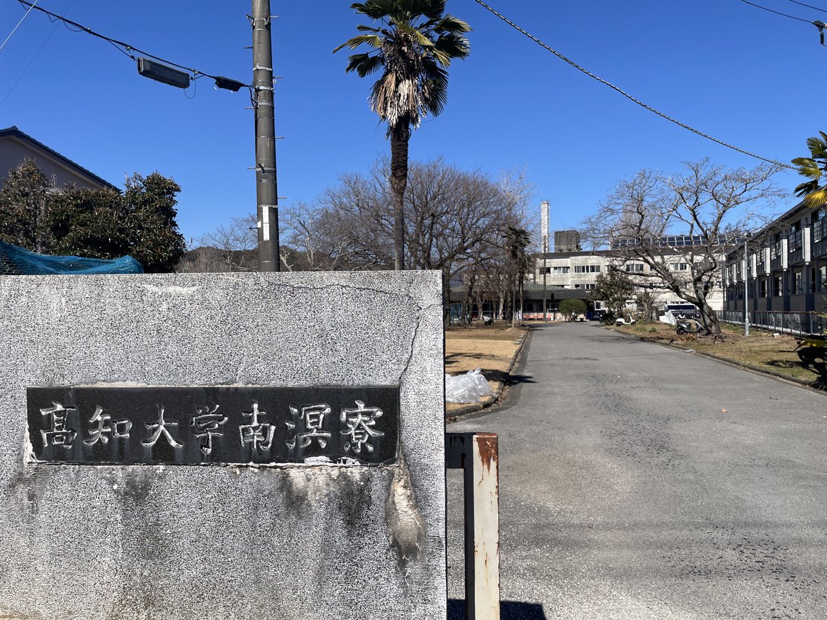 kavakava48's tweet photo. 運命を変えたければ
目に映る景色を変える

日盤吉方位巡り

九星気学の日盤を頼りに自宅
から750m以上離れた場所を訪れる小さな旅

2/14土　東
南国市前浜　前浜掩体(えんたい)群✈️

2/15日　南
春野町　春野漁港🐟

2/16月　北東
薊野東町　赤坂観音卍

2/17火　西
朝倉丙　高知大学　南溟寮🫡 https://t.co/4woXSLyxnm