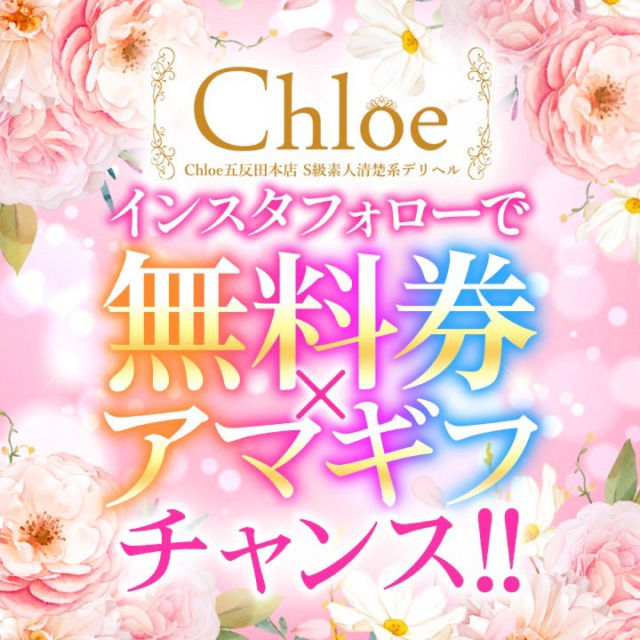 フォロー完了です。 アマギフ当たれば保護猫に 餌を買いたいです