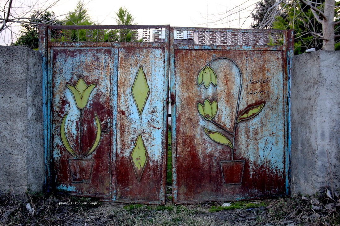 koorosh ranjbar (اکانت تازه) tweet media