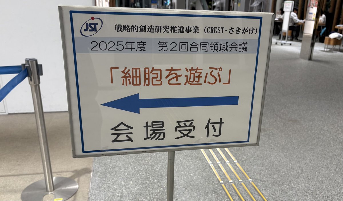 皆様、沼津にようこそ！
#私は部外者