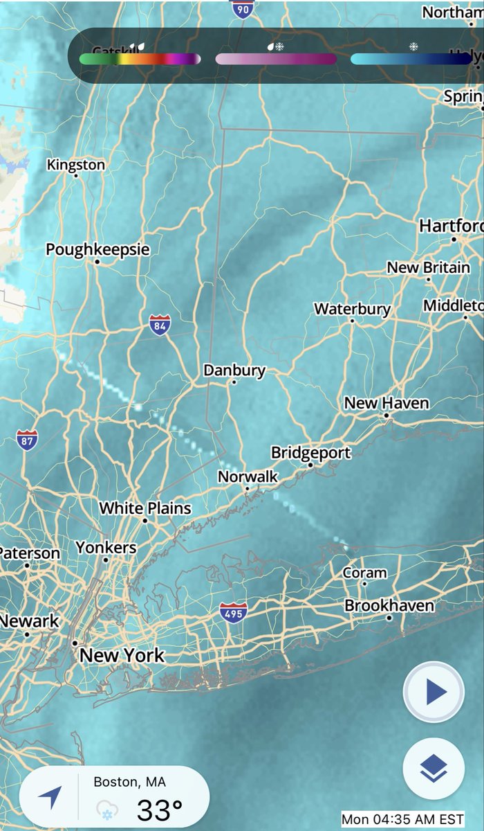 Harambe’s Horses tweet media