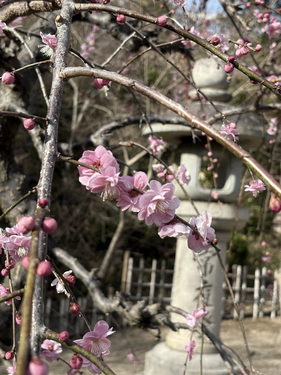 もっちゃん (@matsu_chang2) / Posts / X