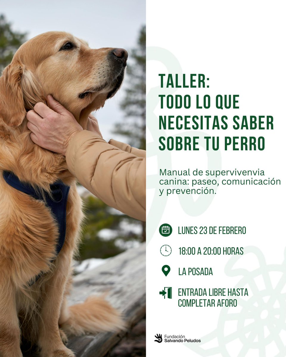 AytoGalapagar's tweet image. 🐾 Taller práctico: “Todo lo que necesitas saber sobre tu perro”
Dirigido a familias y titulares de #perros que quieran mejorar la convivencia y apostar por una tenencia responsable

🗓️23 de febrero
🕕De 18:00 a 20:00 h
📍Centro La Posada

 Junto con @salvando_peludo