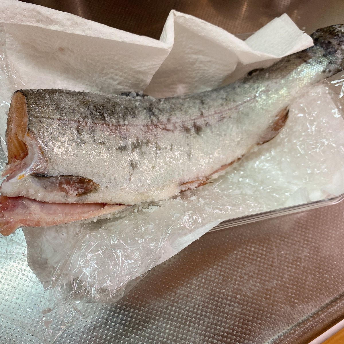 黒緋ヨウ tweet media