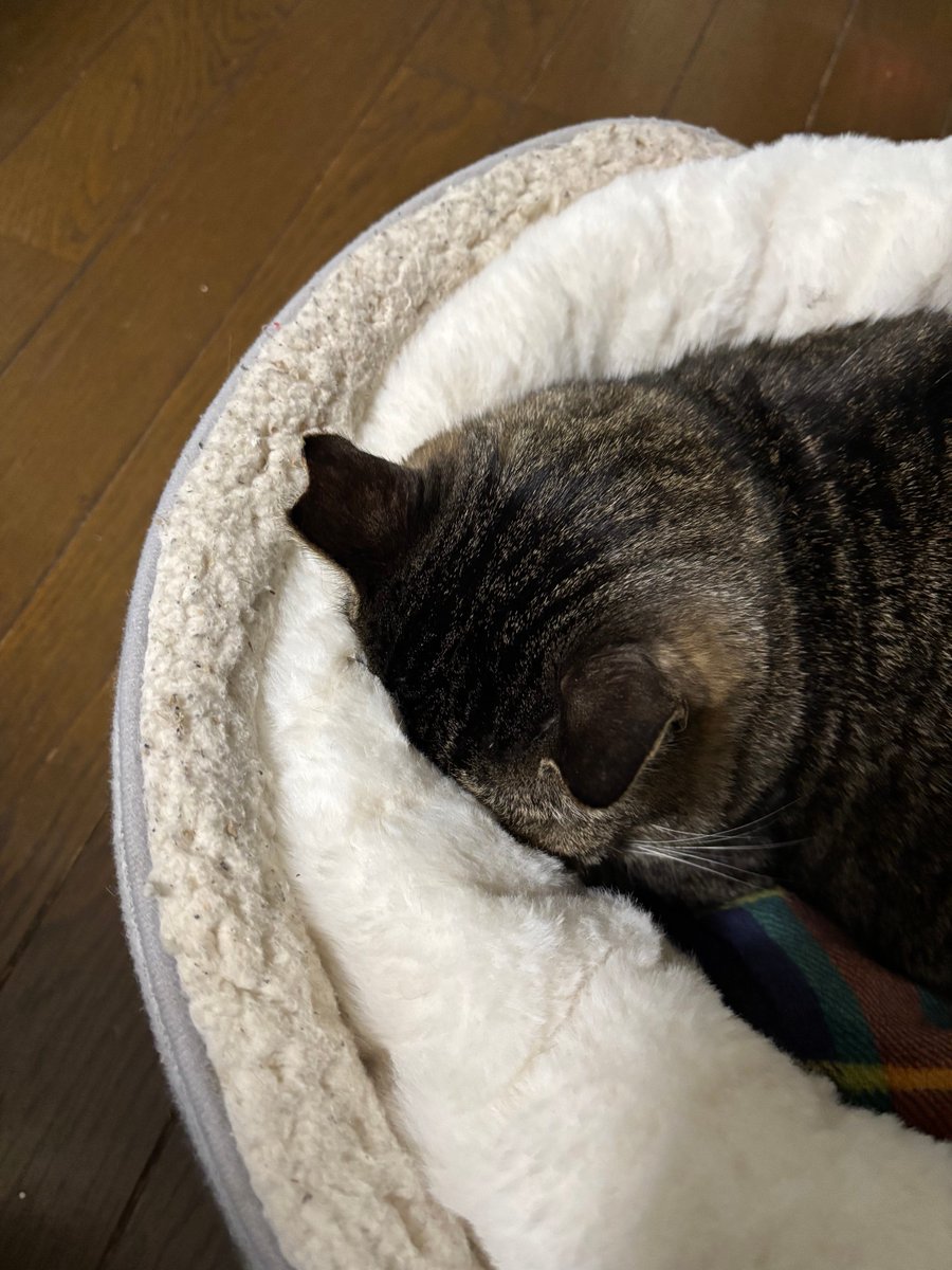 EMY (@EMYSWORKS) / Posts / X