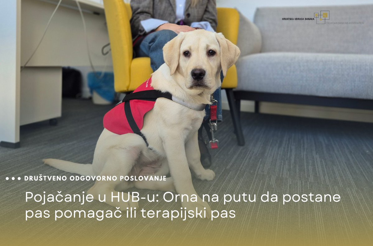 HUB je dobio pojačanje! 🐾

Orna je štene u programu socijalizacije Centra Silver, a sljedećih 14 mjeseci učit će kako postati pas pomagač ili terapijski pas.

Sretni smo što će dijeliti ured s nama, a još sretniji jer će jednog dana pomoći djetetu ili osobi s poteškoćama. 💙