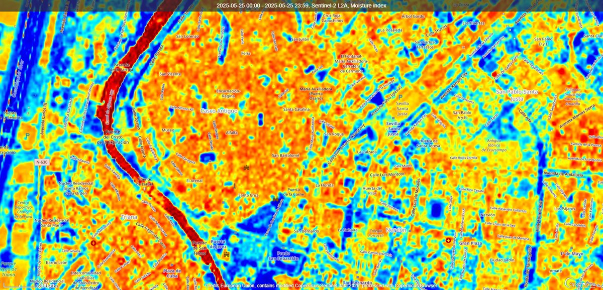 Hay algo que durante décadas no hemos podido medir con precisión.

La calidad ecológica real de una ciudad.

No la percepción. No la estética. No el número de árboles en un inventario.

La capacidad real de su infraestructura verde para proteger a las personas.

Hoy es posible