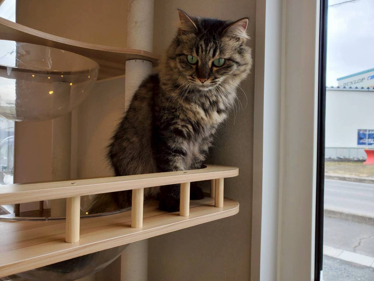 3連休、ご来店ありがとうございました。明日2/24(火)は定休日です😀 25