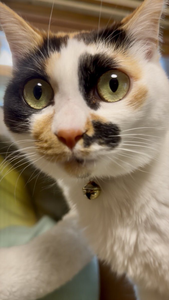 ただいまぁ🙌
今日はいろんなことがあって… 
長い長い1日でした😩

神様はどうして次々に私に試練を与えるの😨
今夜はぐっすり寝て明日から気合い入れて頑張るぞ✊