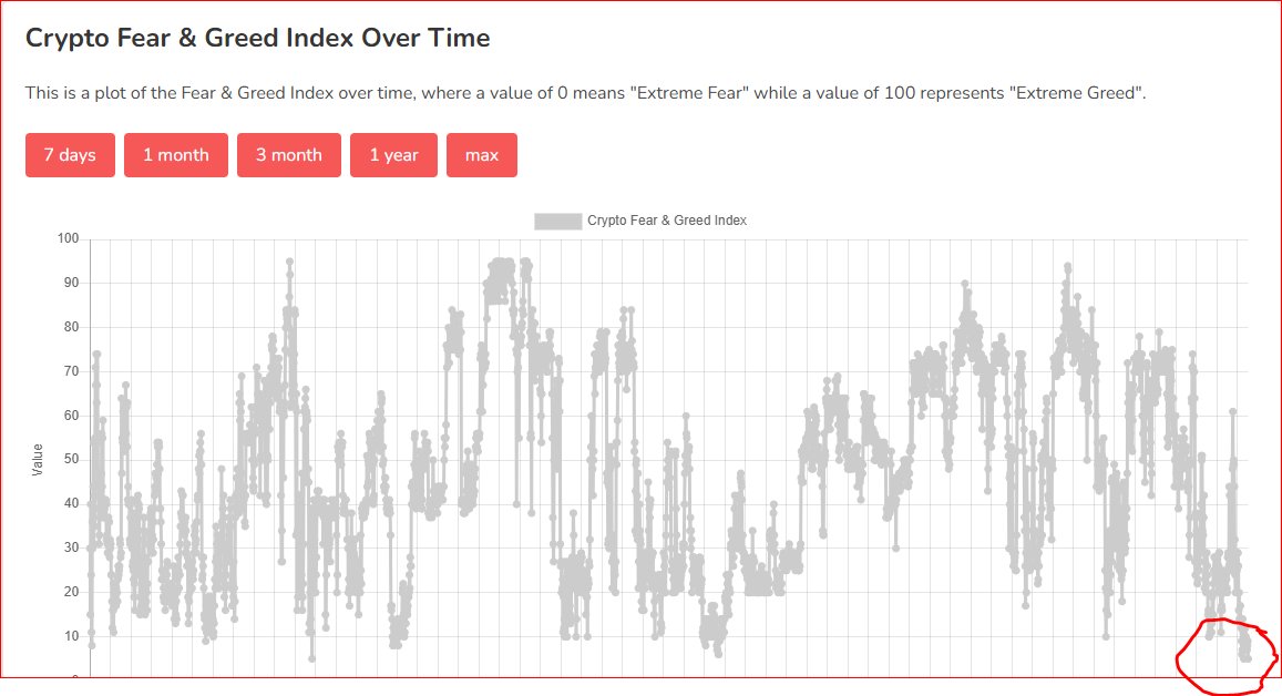 Lzy 🐸🌖 tweet media