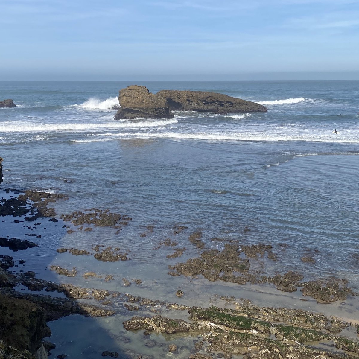 i am back home and the first thing i did was walking by the ocean and going to the cinema…